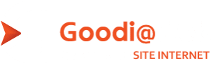 agence web Nantes logo Goodi
