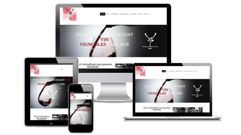 Création site web vignobles Gaucher (33)